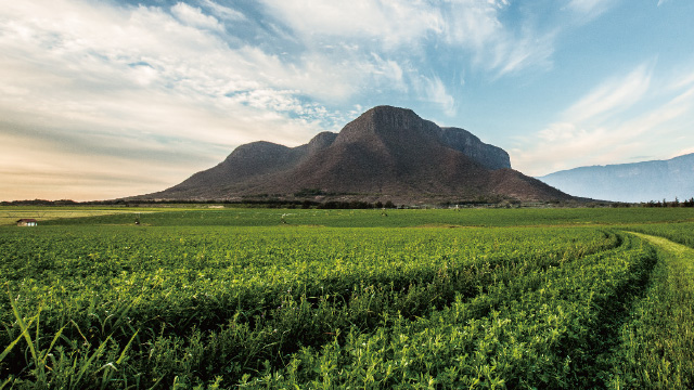 ニュートリライトのエルペタカル農場
